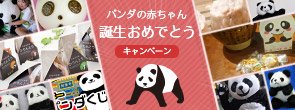 パンダの赤ちゃん誕生おめでとうキャンペーン

	