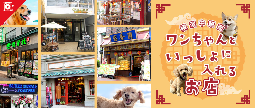 ワンちゃんと一緒に入れるお店